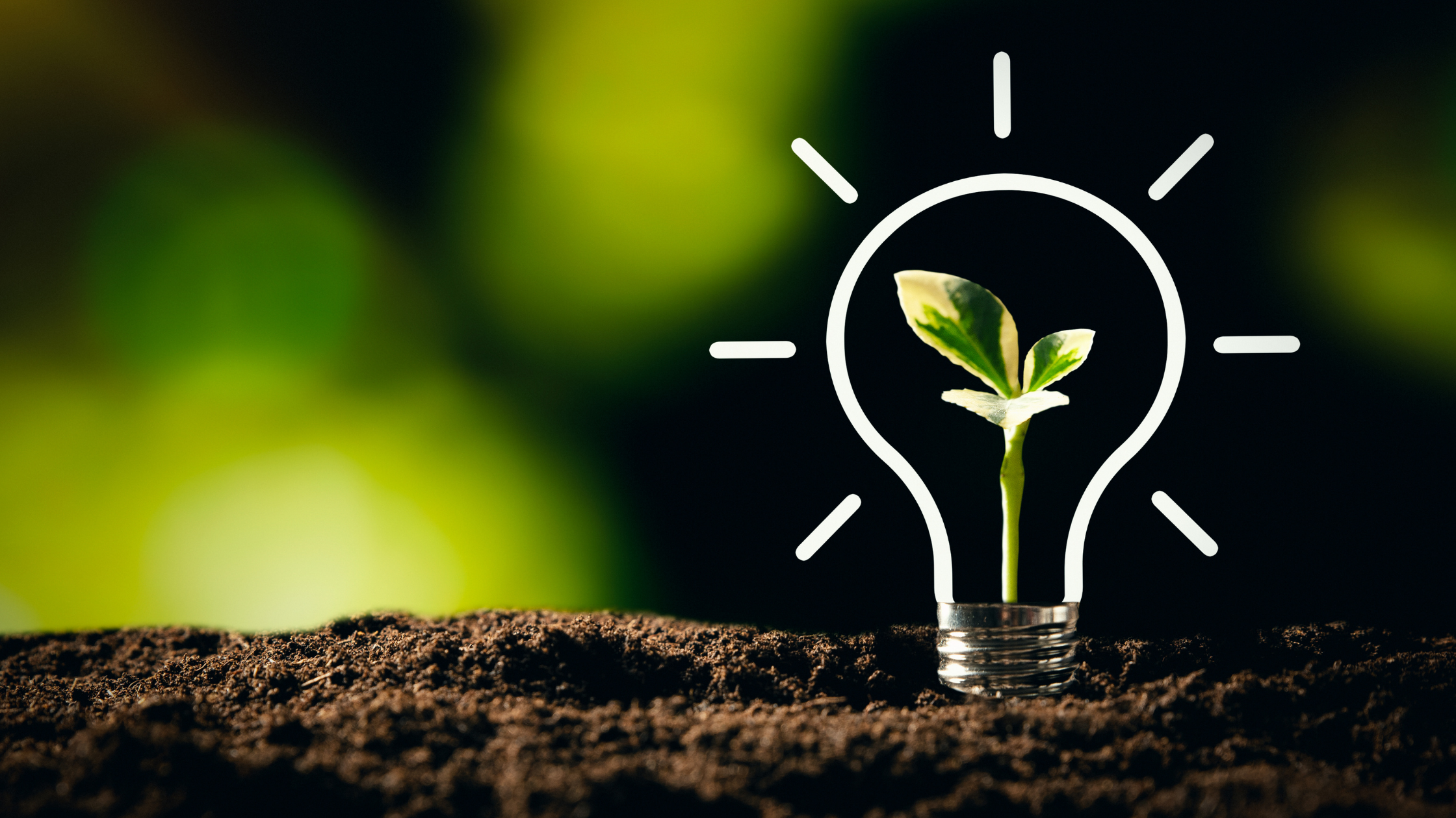 How technology innovation impacts climate action – A Greener Solution